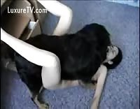 секс-игры красивой зоофилки с собакой